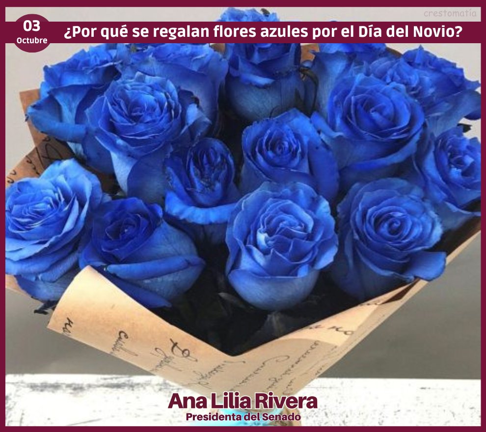 Cuando una mujer te obsequia flores azules por el #DíaDelNovio significa que te tiene plena confianza, que eres una persona muy especial en su vida y desea agradecerte por todo el apoyo que le brindas con una flor de color azul que representa tranquilidad, profundidad y pureza.