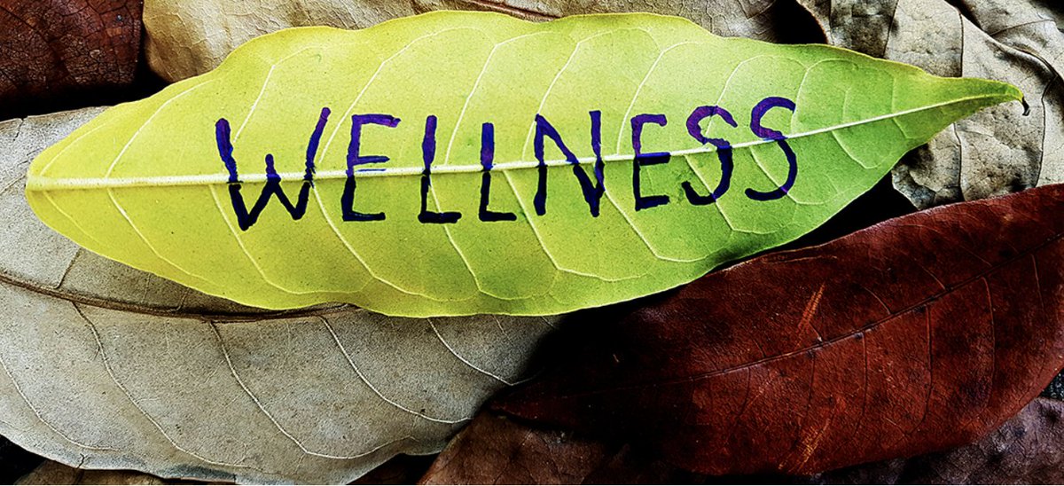 MSU WorkLife Office tweet media