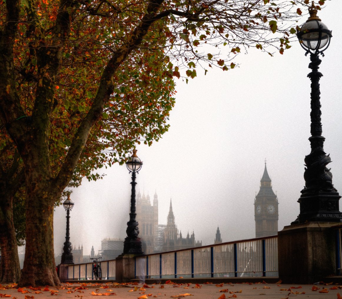 Tripadvisor tweet media