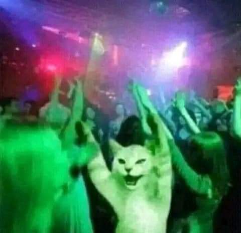 Mom: be back by 10pm

Me at 2am: