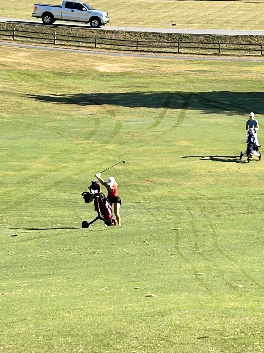 Mike Driver tweet media