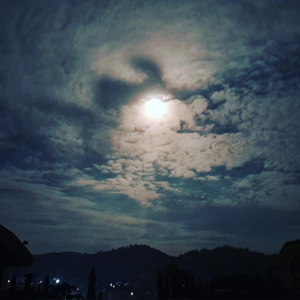 OkhaiDaniel's tweet photo. A moment in time 🖤🖤 https://t.co/d6eVPVTHCw