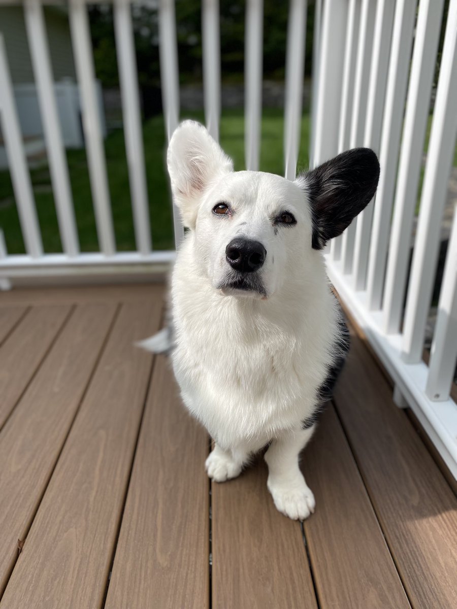 Robin Kall, Reading With Robin tweet media