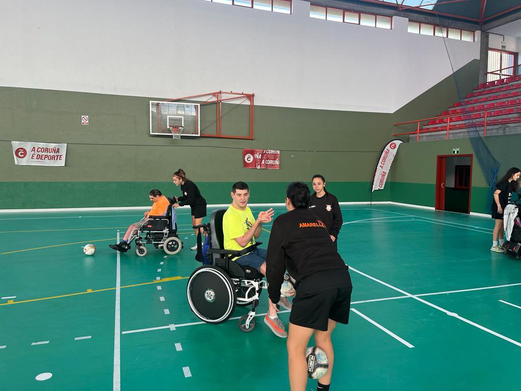 Viaxes Amarelle FSF tweet media