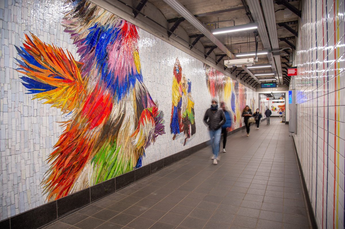 Octagon Museum tweet media