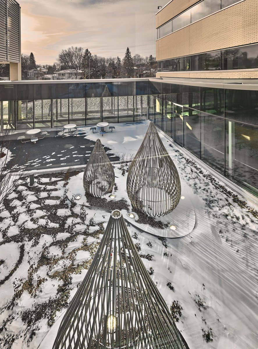 Octagon Museum tweet media