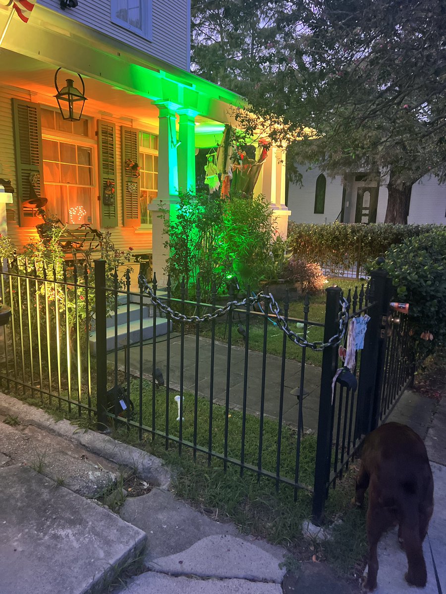 rzilighting's tweet photo. Need halloween lighting? https://t.co/cn5dHxEh0Y https://t.co/lIdWqBjTPy