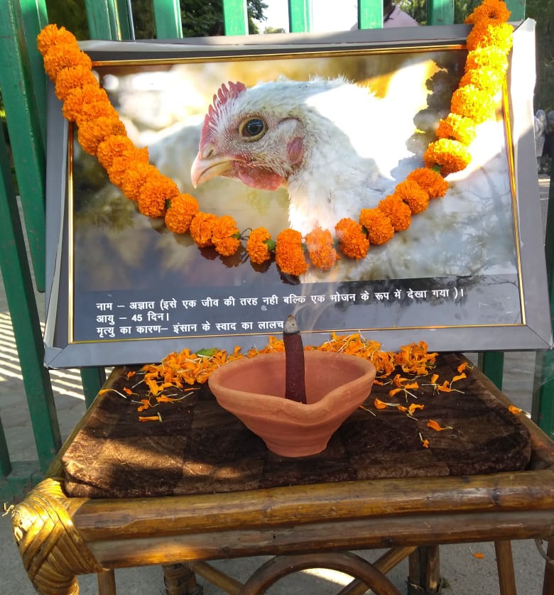 VeganIndiaMovt's tweet photo. देहरादून में सत्याग्रह के दौरान उन करोडों मुर्गियों और अन्य पशुओं को श्रद्धांजलि अर्पित की जिन्हें इंसानी स्वाद के लिए हर रोज़ मारा जाता हैं| ये भी कुत्ते के समान दर्द महसूस करते हैं और आज़ादी के हक़दार हैं| इनकी हत्त्या/गुलामी में शामिल ना हो
#GoVegan #gandhijayanthi #Dehradun https://t.co/gwgDo56iWc