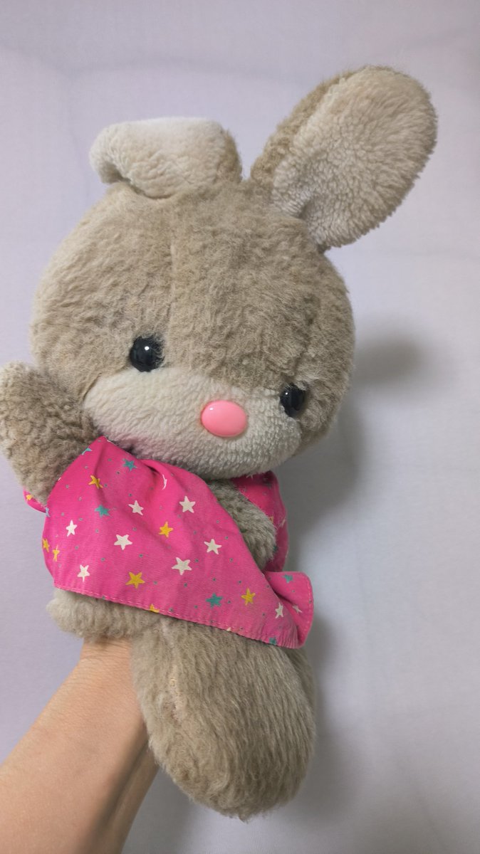 ぴーちゃん フィットちゃんベーシックワイド／安ピカッ／楽ッション