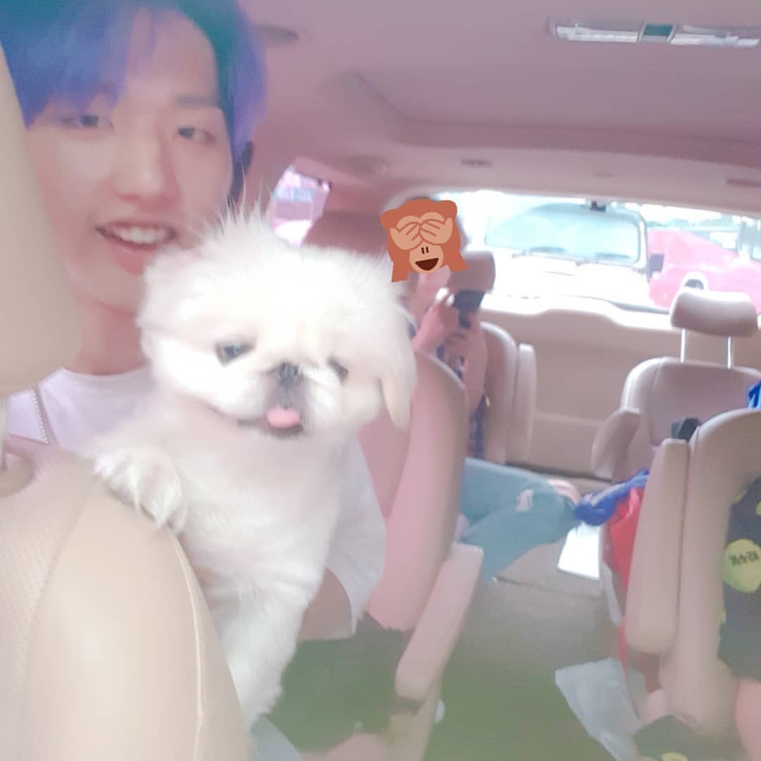 hi_saeon's tweet photo. 181002 pu_star 행복한 뿌스타그램
재밌는 소풍♡
#뿌스타 #뿌딩 #뿌스타그램 #나라찬 #몬트 #MONT
#Narachan #Puding #Pustargram #dog #dogstargram #강아지 #페키니즈
https://t.co/69UbYHZiVW https://t.co/ON48BXJHYL