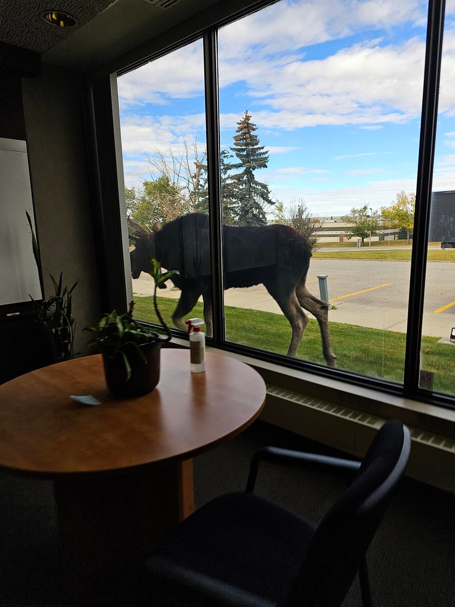 SteveMillar1983's tweet photo. @MKingGlobal @GlobalCalgary https://t.co/hiIUchjCCO