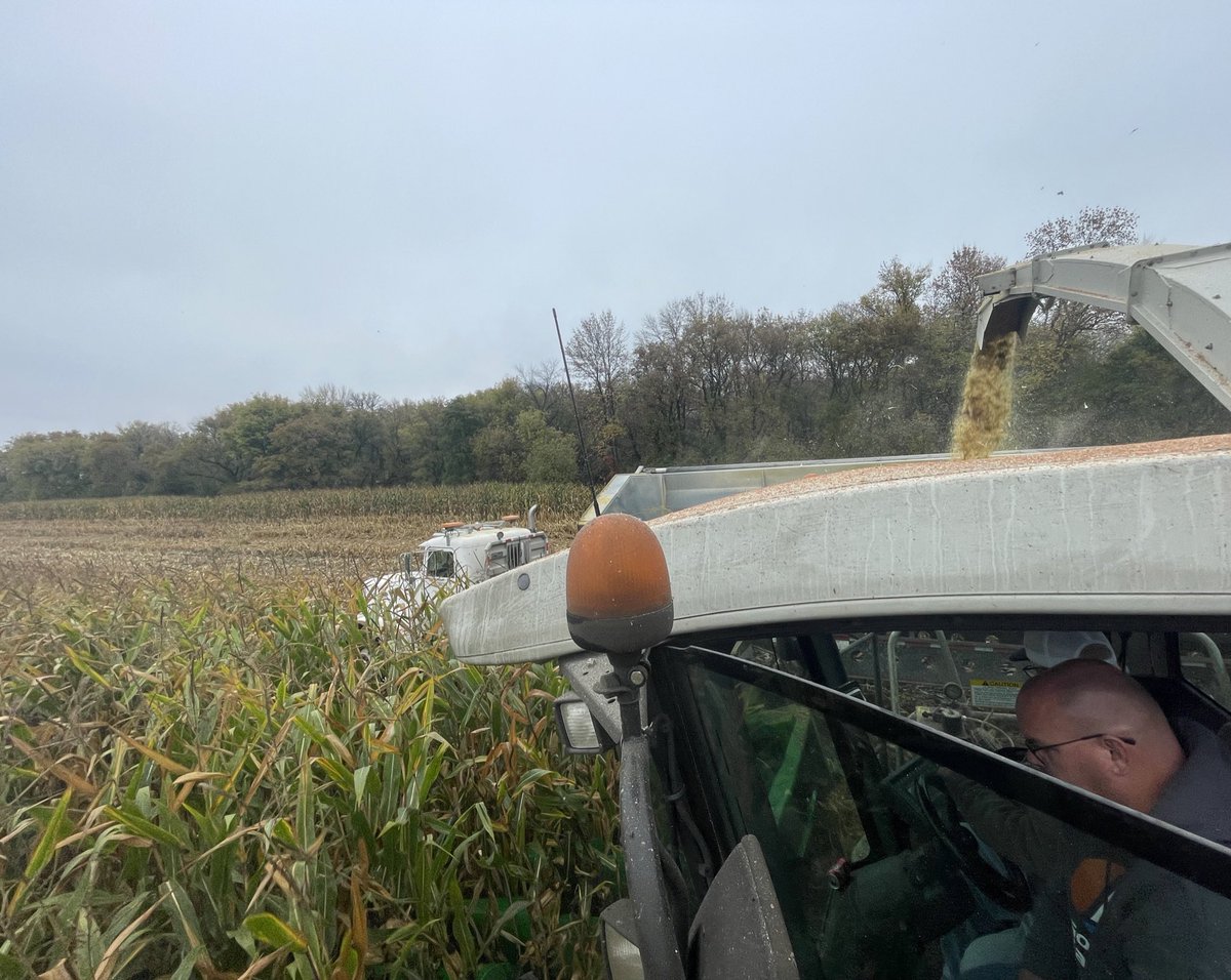 Great opportunity to ride with an innovative grower that was chopping <a href="/GldnHarvest/">Golden Harvest Seeds</a> corn for earlage! Always a great time to meet new customers and learn something new. #Harvest23