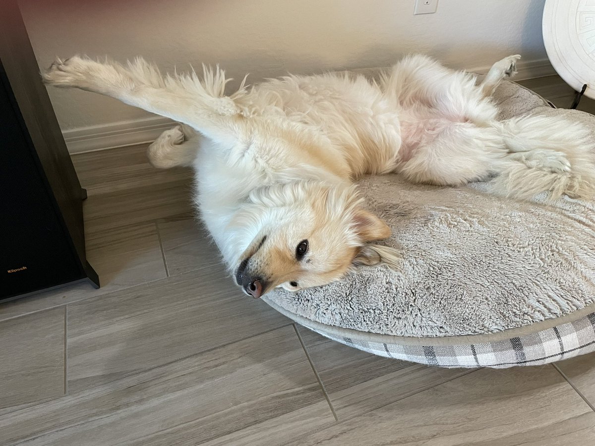 A good stretch is good for the soul.

Doga Instructor Athena