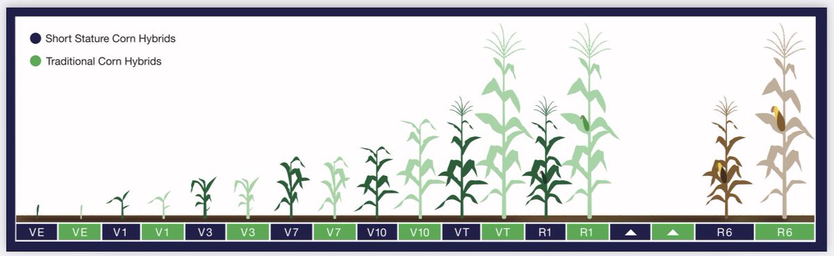 🌽New seed technology is here!🌽

- VT4Pro New Bayer Biotech Trait 
- Preceon Smart Corn System

Hope everyone has a safe harvest season!