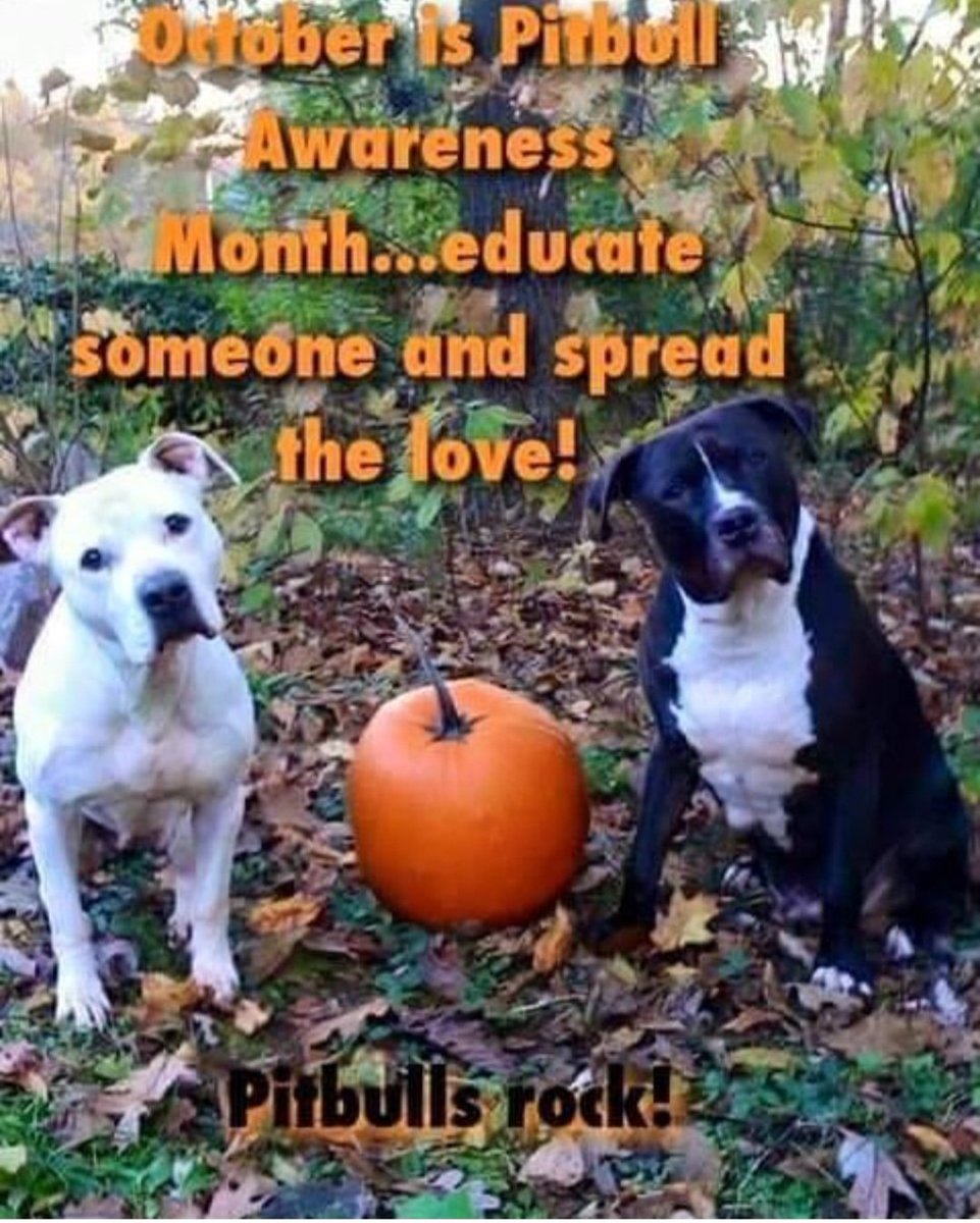 Felicia Cobb (@feliciacobb13) on Twitter photo 