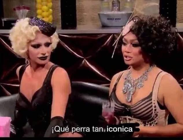 <a href="/LACUCHILLERA_/">LA MONA QUILOMBERA 🐵🔪</a>