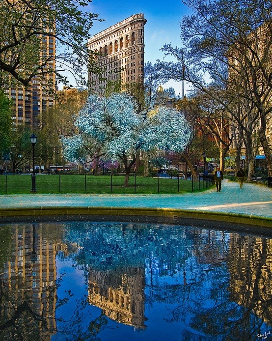 Reflection, Madison Square Park, New York City #Reflection #MadisonSquarePark #NewYorkCity martinevan.com