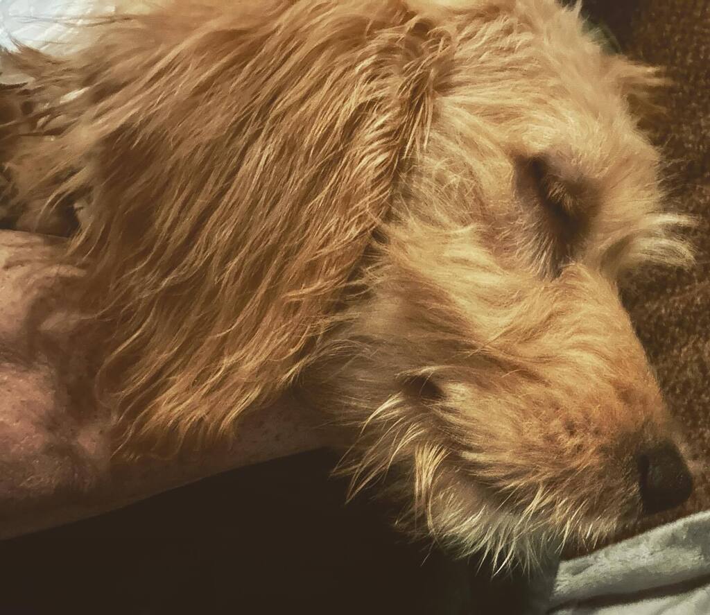 Heather Asbell tweet media