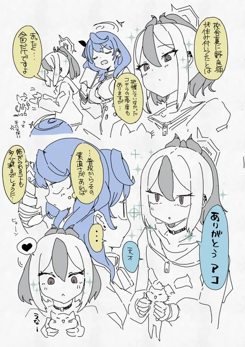 アコカヨの可溶性(8) #ブルアカ 