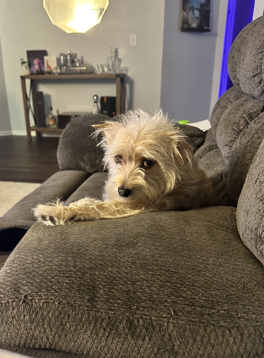 mits 🎊 tweet media