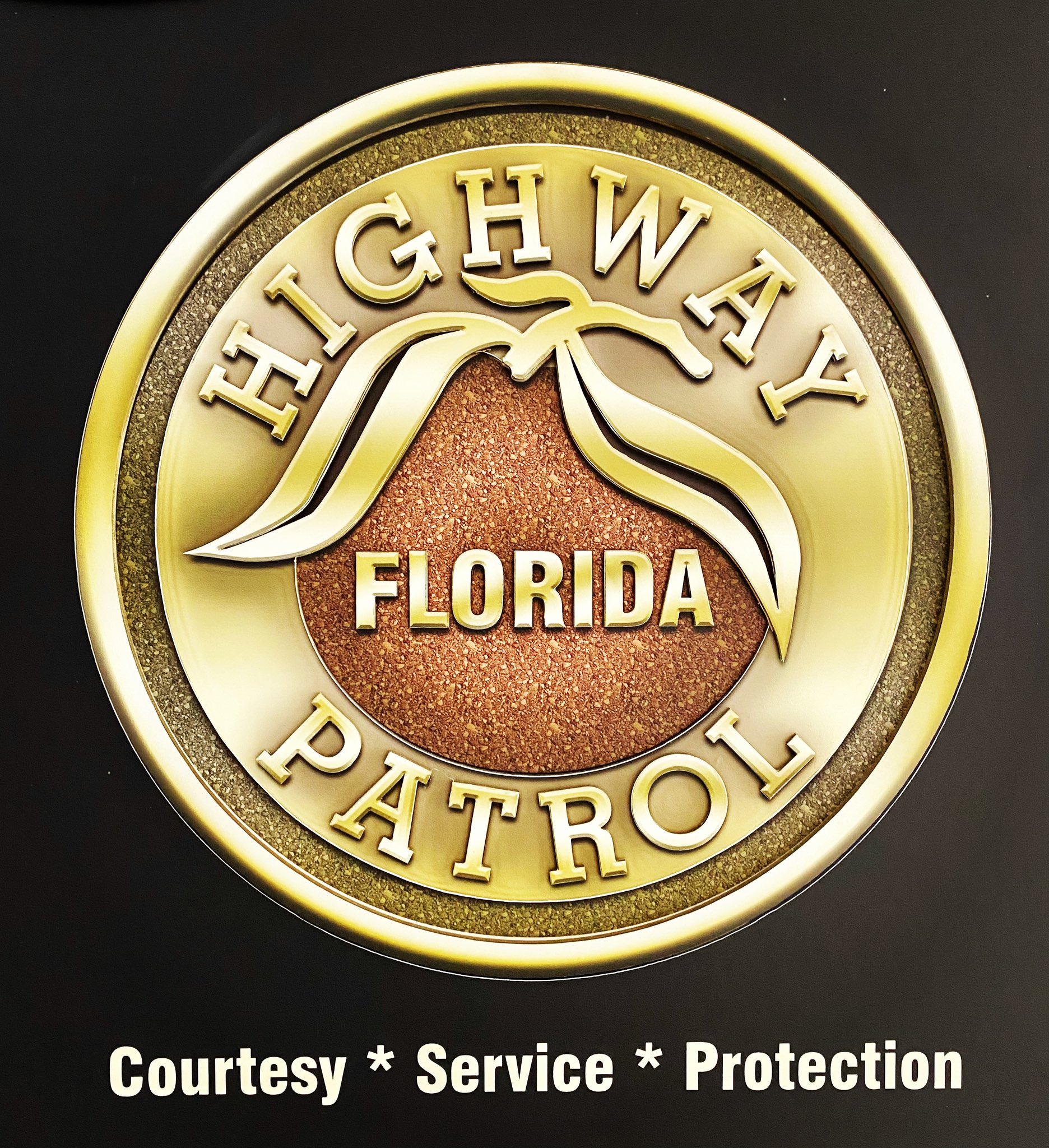 Florida.Arrests.Org Seminole - mrqd0xh