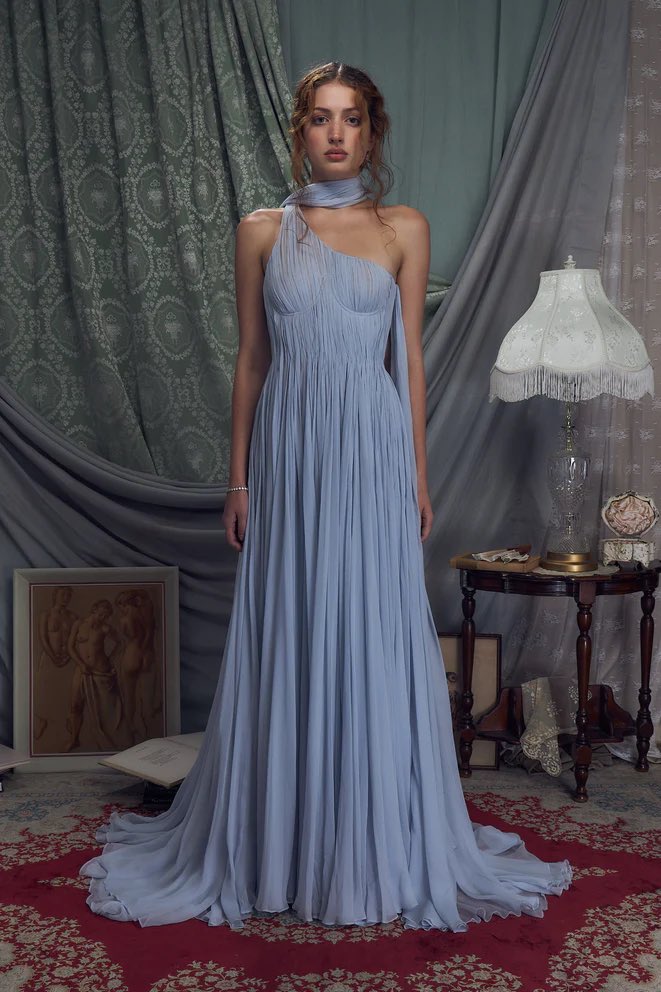 dreaming of this mirror palais gown