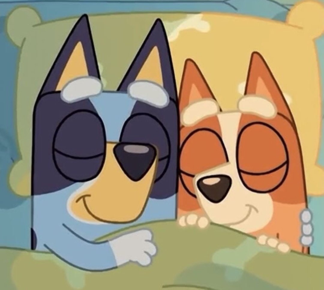 Bluey se cambió de habitación, pero no tardó en que Bingo fuera a dormir 😴 con ella tuve que volver a poner la cama en la habitación de las niñas.