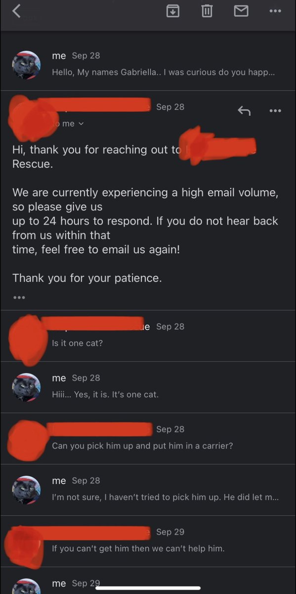 PeterMarioKitty's tweet photo. So this was the first part of our conversation.. https://t.co/zi9zTNlB91