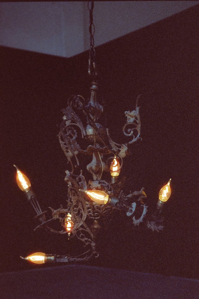 Phenomena #dnaeditorials 

<a href="/benny_emmanuel/">Benny Emmanuel</a> usando <a href="/Prada/">PRADA</a> 

MAGICAL MYSTERIES
DNA MAGAZINE ISSUE 25
F/W 2023

dnamag.mx/phenomena-dna-…