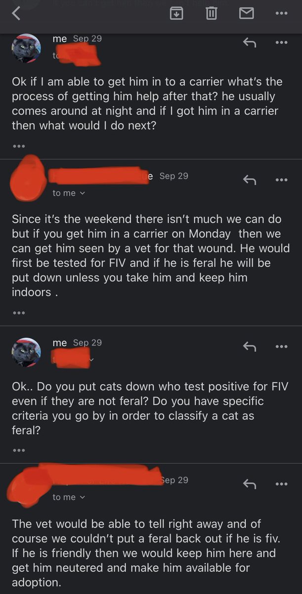 PeterMarioKitty's tweet photo. And here, in the second picture, you can see how they said they’d put the cat down if they were feral an FIV positive.. https://t.co/vXehuIscua