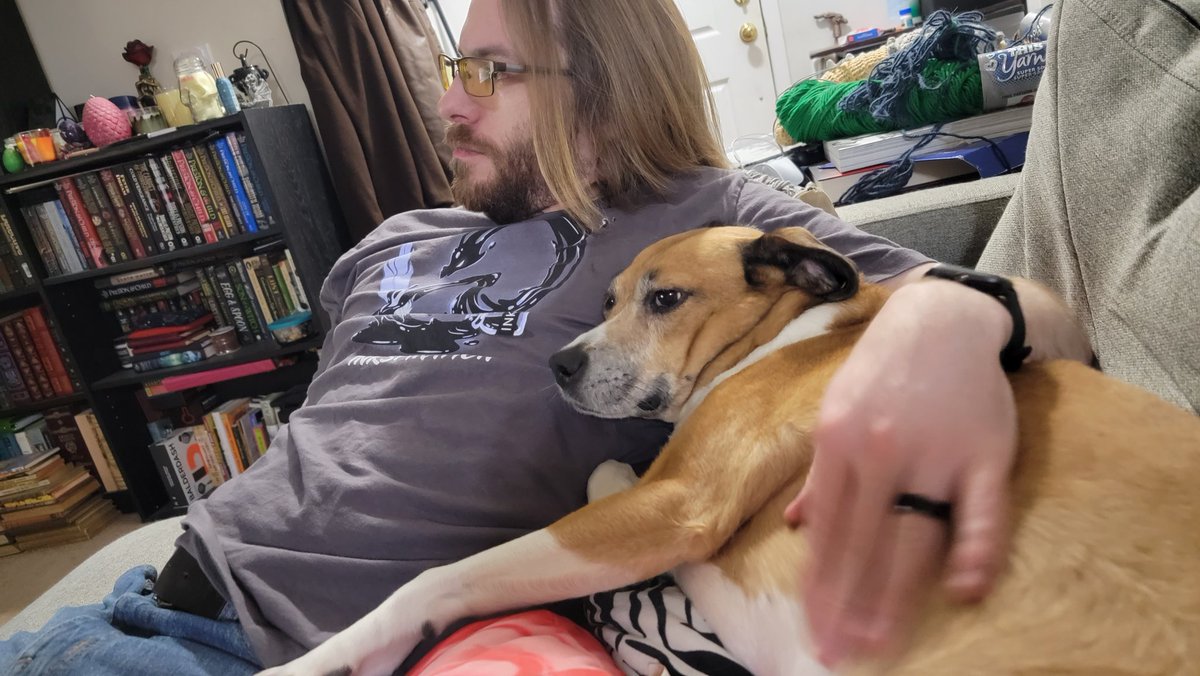 Hafatam1's tweet photo. Watching Great British Baking Show with daddy! #britishbakeoff #couchpuppy #cuddlepup @KrimsonRogue https://t.co/LT06rQyxNc