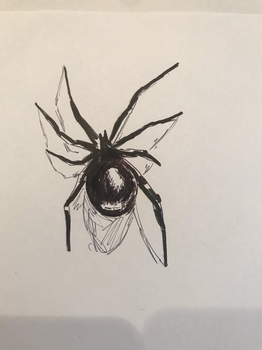 Spider #Inktober