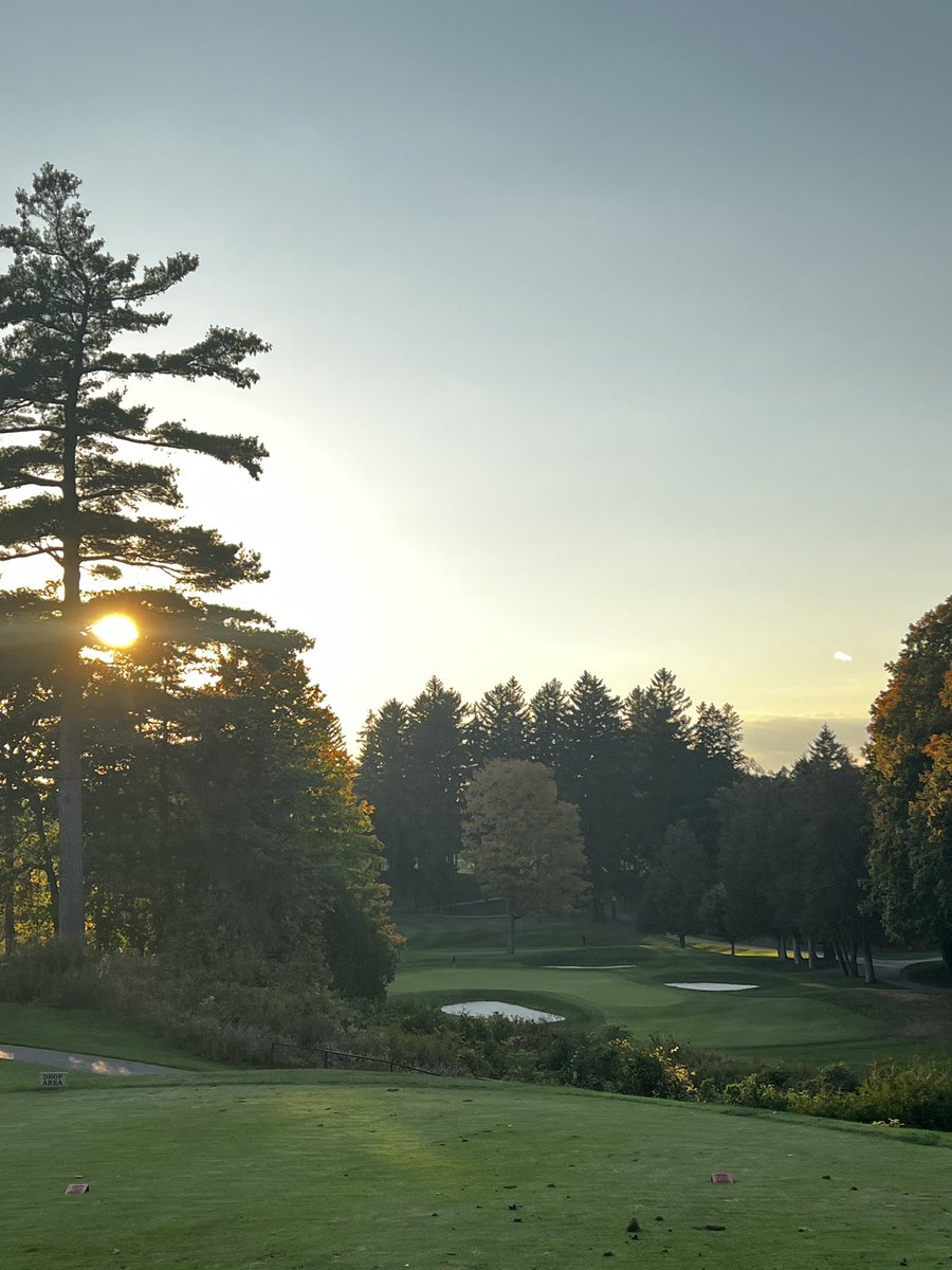 Robert Thompson tweet media