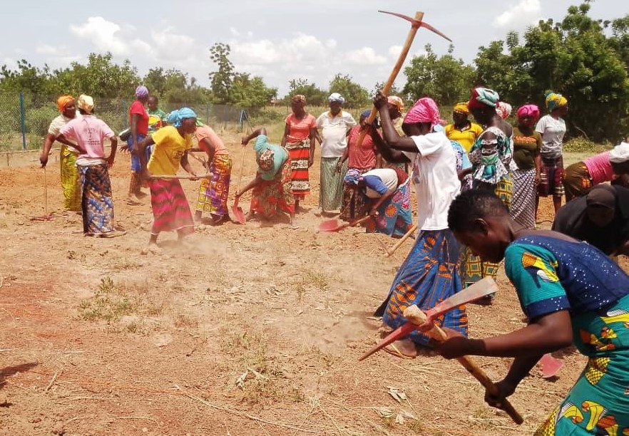 PNUD_BFA's tweet photo. Série de formations de 350 nouveaux petits producteurs, dont 40% de femmes, 30% de jeunes et 20% de PDIs, sur production maraichère durable, en cours à Dédougou, Fara, Tchériba, Ténado et Dassa, communes d’intervention du #PAMED. #Agroécologie #DéveloppementDurable https://t.co/pMlZwBS0aZ