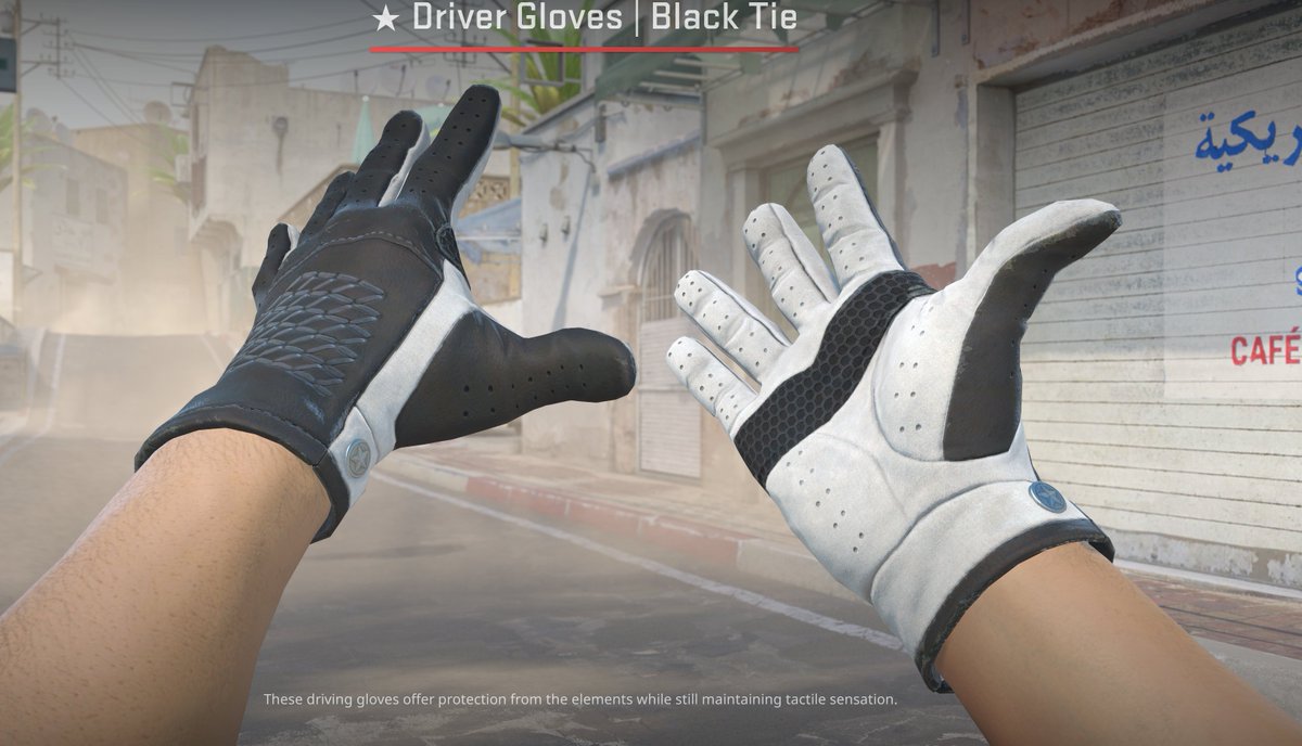 TheRacingRover's tweet photo. Thanks @CounterStrike https://t.co/R9XaczdkEB