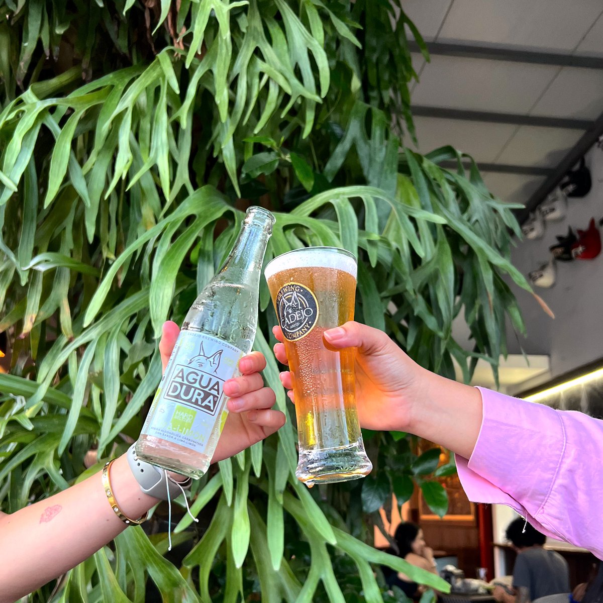 Así al 🌶️ ¿Agua Dura o Cervecita?