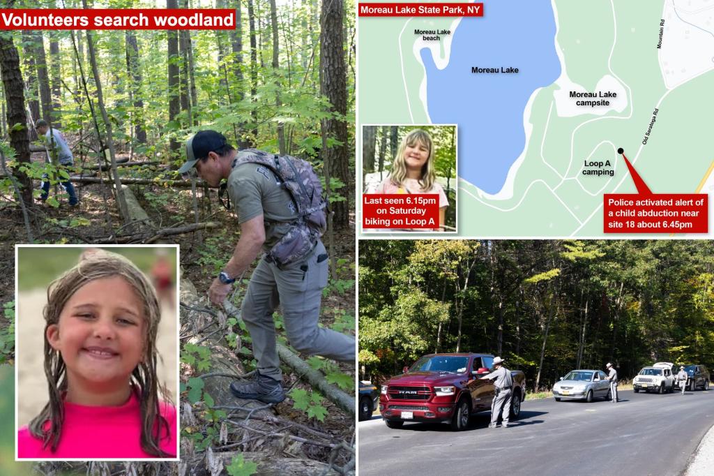 Charlotte Sena, 9-year-old girl feared to have been abducted in upstate NY, found alive, suspect in custody trib.al/G0V1ysy