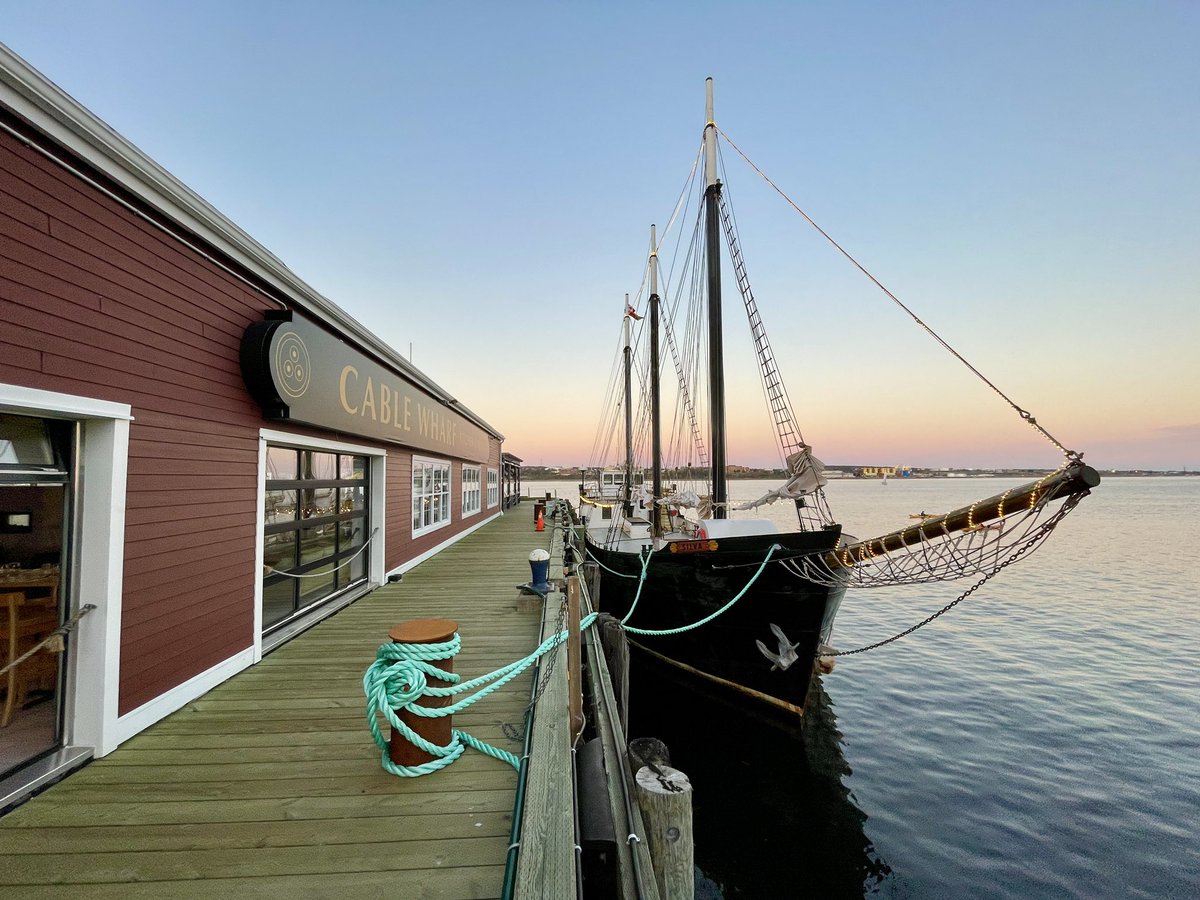 Ngaio Hotte tweet media