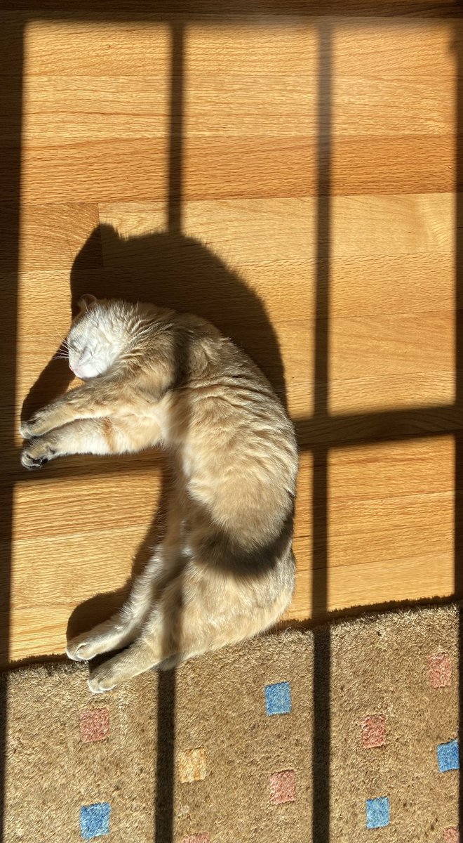 Johnny Rockets tweet media