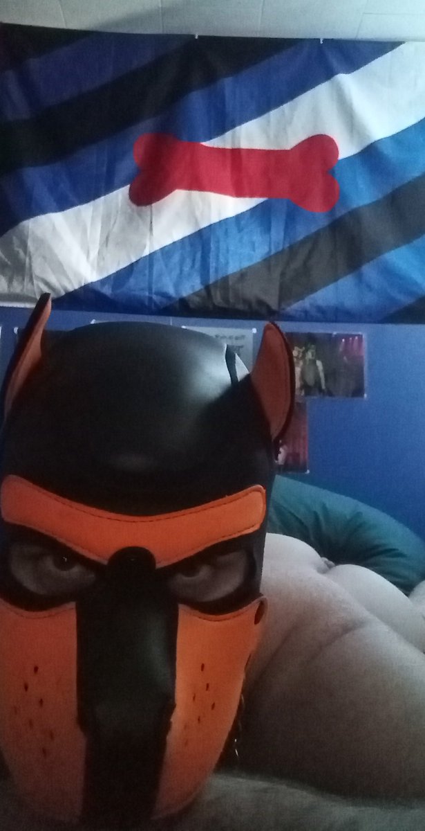 Pup Kayos tweet media