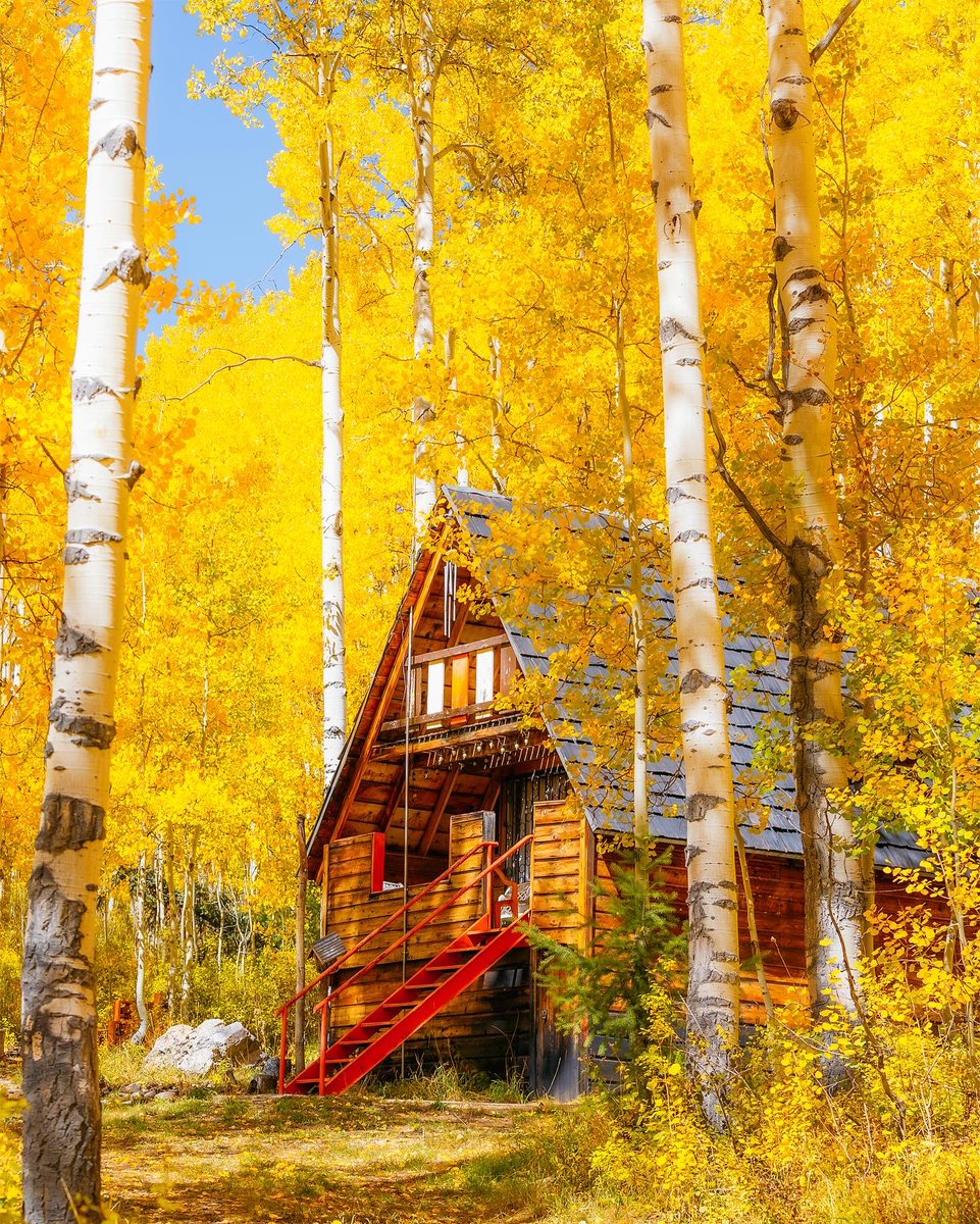 Who likes cabins in the fall? 👋💛