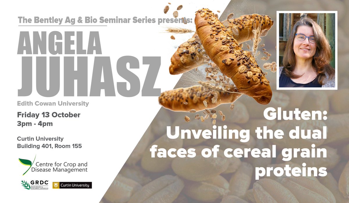 j_mylne's tweet photo. At @theCCDM we've strengthened, widened and opened our seminar series #BABSS. If you're on Bentley campus @CurtinUni Friday 13 October, come see Angela Juhasz @AngiJuhasz of @EdithCowanUni talk about gluten 🗣️📢👂🤔 https://t.co/QwSDq1uwNC