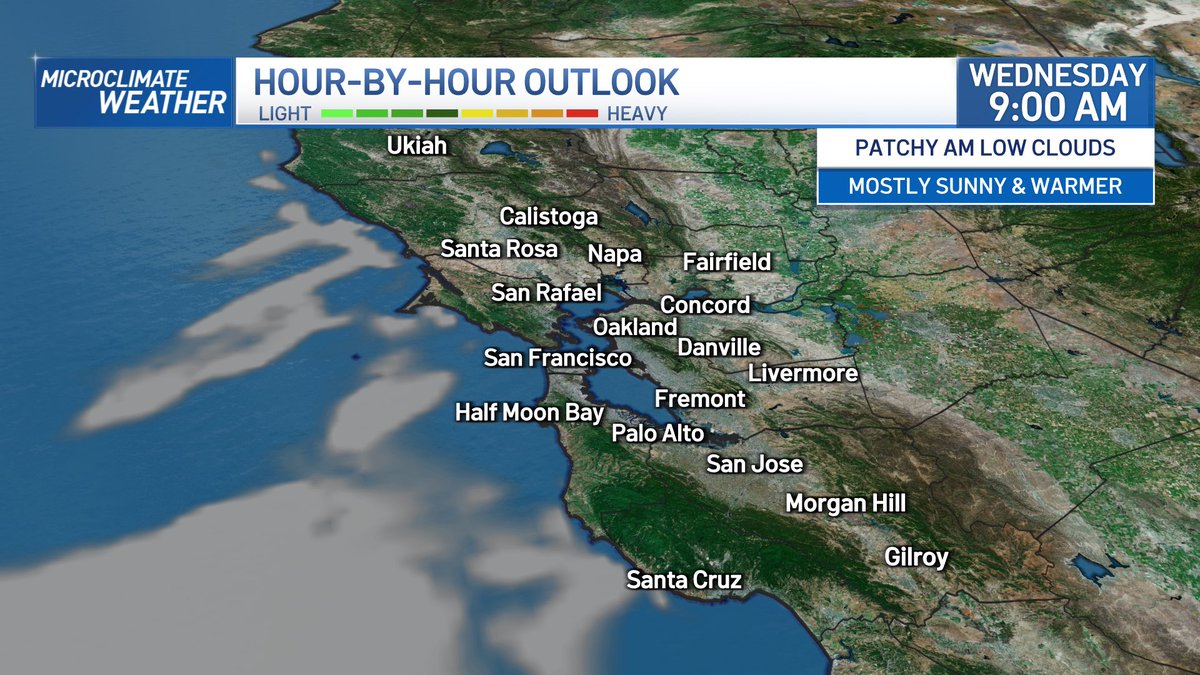 Rob Mayeda tweet media