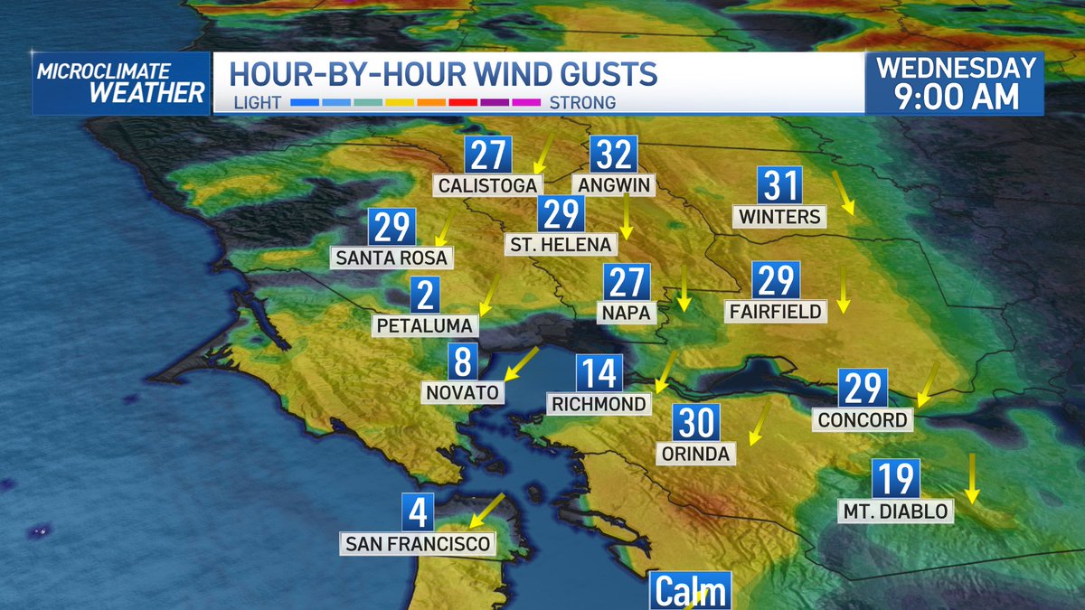 Rob Mayeda tweet media