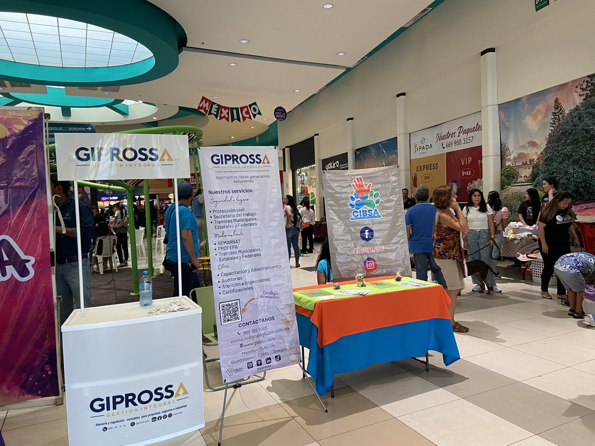 giprossa's tweet photo. Participamos en el “ADOPTON 2023” que se celebró en #PlazaAcaya un evento con causa organizado por Ecología Municipal en apoyo en los perritos en situación de calle, donamos comida, accesorios y alguna ropa, si quieres apoyar acércate directamente al albergue o ecología https://t.co/xGTMEtdBQp