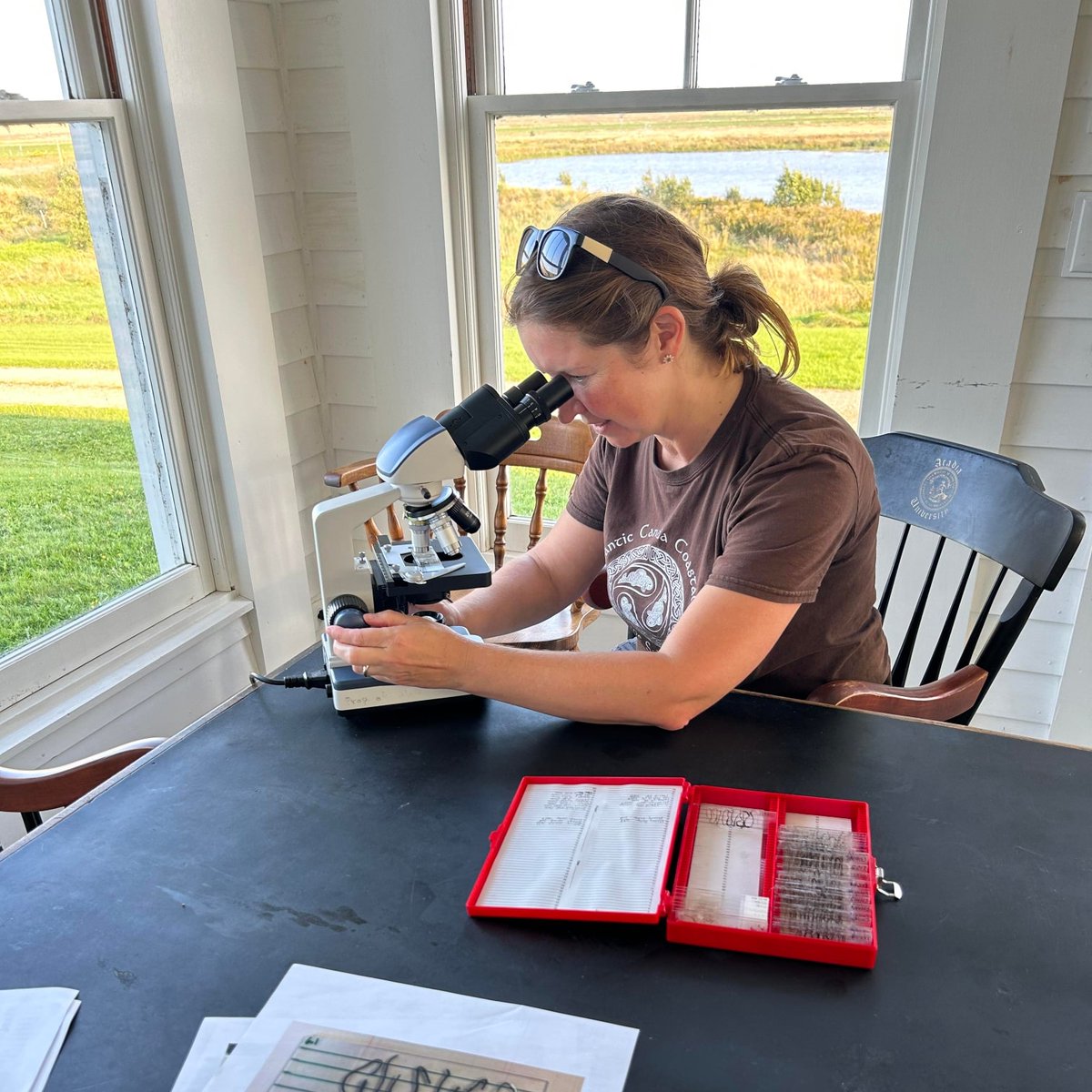 Allison Walker (@fungaldreamteam) on Twitter photo We loved teaching about #saltmarshes at Beaubassin Research Station ! <a href="/AcadiaU/">Acadia University</a> <a href="/AcadiaScience/">AcadiaScience</a> <a href="/NSERC_ResNet/">NSERC ResNet</a> <a href="/tcadaptations/">TransCoastal Adaptations</a> <a href="/smuhalifax/">Saint Mary’s University</a> <a href="/SMUScience/">SMUScience</a> <a href="/ducanada/">Ducks Unlimited CAN</a> <a href="/IrvingCentre/">K.C. Irving Centre</a> #coastal #fieldscience 🌿🍄🌊 We loved teaching about #saltmarshes at Beaubassin Research Station ! <a href="/AcadiaU/">Acadia University</a> <a href="/AcadiaScience/">AcadiaScience</a> <a href="/NSERC_ResNet/">NSERC ResNet</a> <a href="/tcadaptations/">TransCoastal Adaptations</a> <a href="/smuhalifax/">Saint Mary’s University</a> <a href="/SMUScience/">SMUScience</a> <a href="/ducanada/">Ducks Unlimited CAN</a> <a href="/IrvingCentre/">K.C. Irving Centre</a> #coastal #fieldscience 🌿🍄🌊