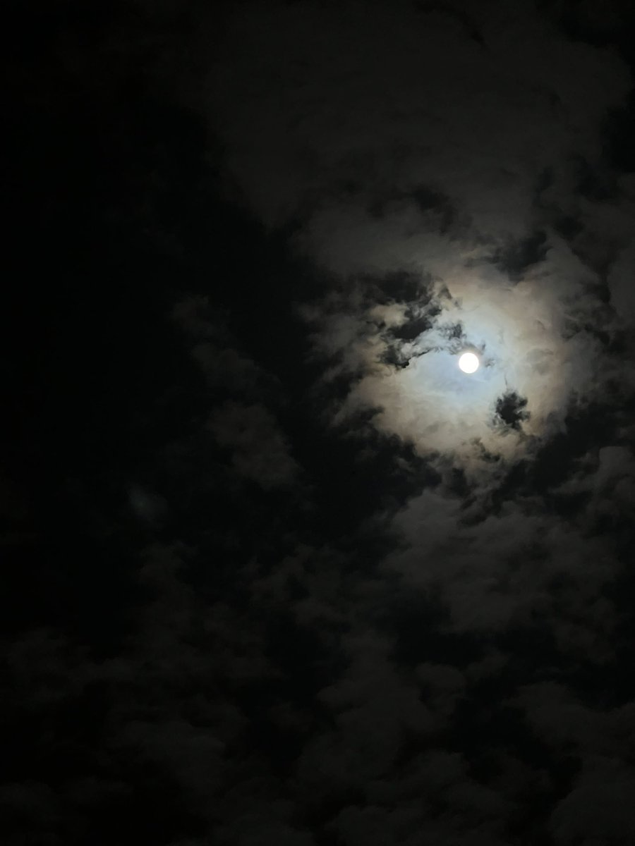 Yasotvmoon's tweet photo. ☁️🌕☁️ https://t.co/AZr1684ZRH