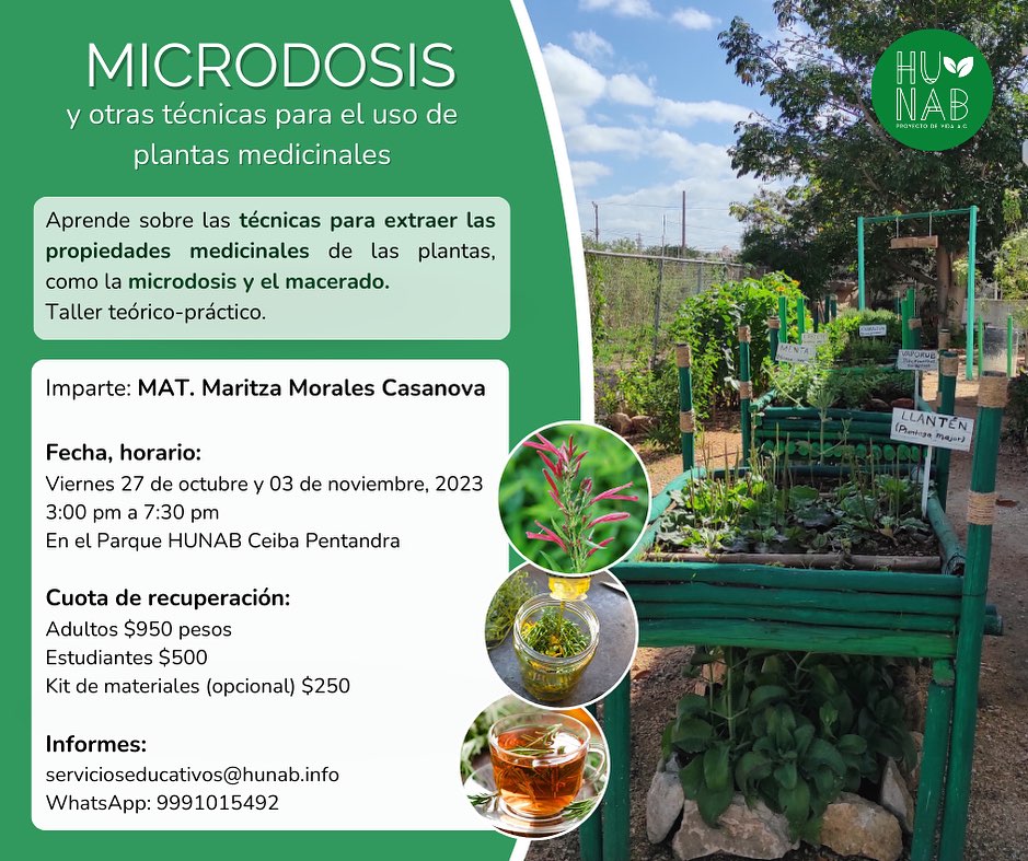 Próximo taller sobre microdosis y otras técnicas para el uso de plantas medicinales. ¿Qué remedios naturales conoces?