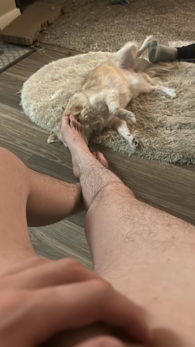 Patchy hairy long legs ft the princess and the owner&rsquo;s foot. 🤷🏻&zwj;♂️😅 https://t.co/LMMMsYh8cf