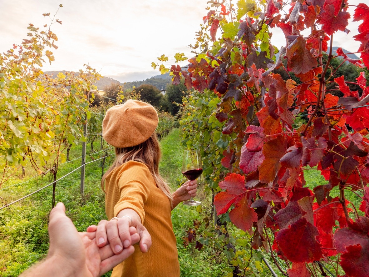 groupcornucopia's tweet photo. Experience an epic sensory adventure in Prince Edward County this October! Explore wine, cider, and beer in luxury. Gourmet meals, stunning views, and more await. Don't miss it! 🍁 #TrifectaTasting #PrinceEdwardCounty #WineTasting https://t.co/bNpl3BH6g4